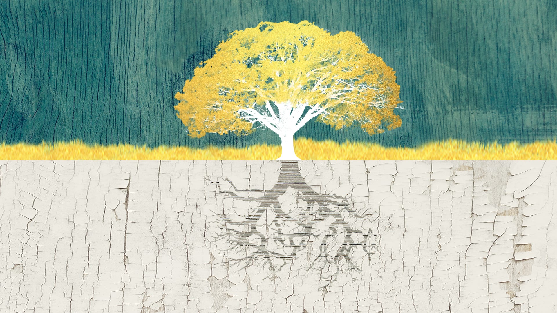 Why Most Culture Change Efforts in Organizations Fail