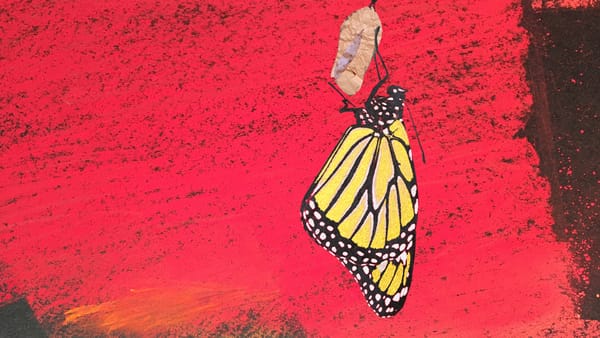 Two Instruments for Understanding the Transformation of Feelings